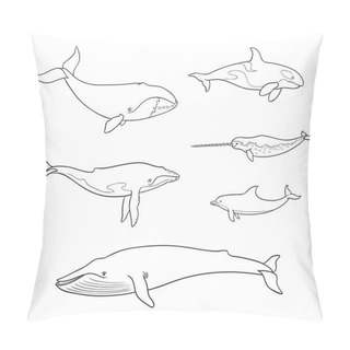 Personality  Sea Mammals (cetacea) In Outlines - Vector Illustration Pillow Covers