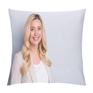 Personality  Close-up Portrait Of Her She Nice Attractive Charming Cheerful Content Wavy-haired Businesslady Qualified Marketing Director It Team Lead Isolated On Light White Gray Pastel Color Background Pillow Covers