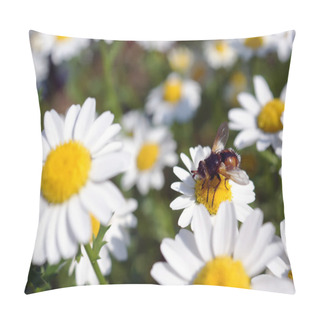 Personality  Beautiful Flowers In The Spring With A Cute Little Bee Pillow Covers