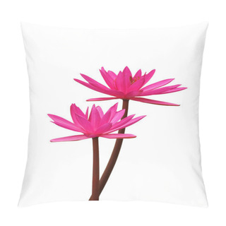 Personality  Pink Lotus Blossoms Or Water Lily Flowers Blooming Isolate On Wh Pillow Covers
