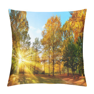 Personality  Sunny Autumn Scenery In An Idyllic Park Pillow Covers