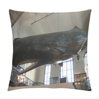 Personality  Monaco Oceanographic Museum 07. Oct, 2009. Mockup Of A Sperm Whale.  Physeter Macrocephalus Or Cachalot Is The Largest Of The Toothed Whales And The Largest Toothed Predator. Pillow Covers