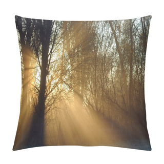 Personality  Beams Of Light Pour Through The Trees Pillow Covers