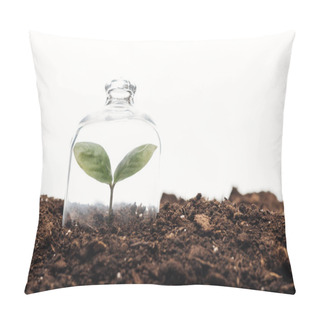 Personality  Small Green Plant Covered Under Bell Jar Isolated On White Pillow Covers