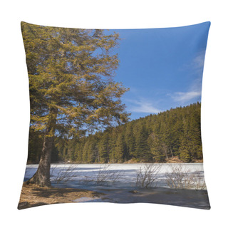 Personality  Evergreen Tree On Lake Shore In Winter  Pillow Covers