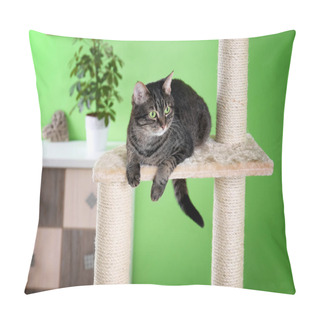 Personality  Cat Sitting On Tree Pillow Covers