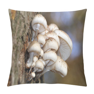 Personality  Macro Photo Of Mushroom Pillow Covers