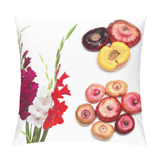 Personality  Collection Gladiolus Bulbs And Flowers Isolated On White Background. Agriculture, Horticulture. Preparing The Plant For Planting In The Ground. Flat Lay, Top View Pillow Covers