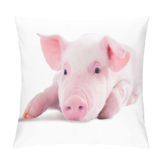 Personality  Pink Pig. Isolated On White Background Pillow Covers