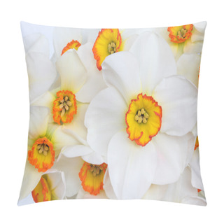 Personality  Narcissus Flower Beauty Pillow Covers