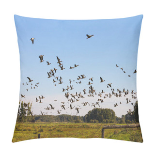 Personality  Start Of The Grey Geese In The Steinhuder Meer Nature Park Pillow Covers