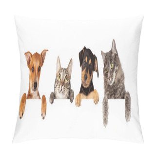Personality  Cats And Dogs Hanging Paws Over White Banner Pillow Covers
