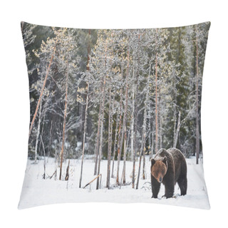 Personality  Brown Bear In The Snow Pillow Covers