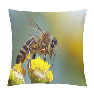 Personality  Detail Of Bee Or Honeybee In Latin Apis Mellifera, European Or Western Honey Bee Pollinated Of The Yellow Flower Pillow Covers