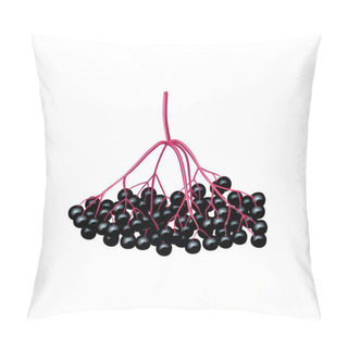 Personality  Isolated Black Berries On A Tree Branch. Black Currant, Elderberry, Chokeberry. Fruits Isolated. Pillow Covers