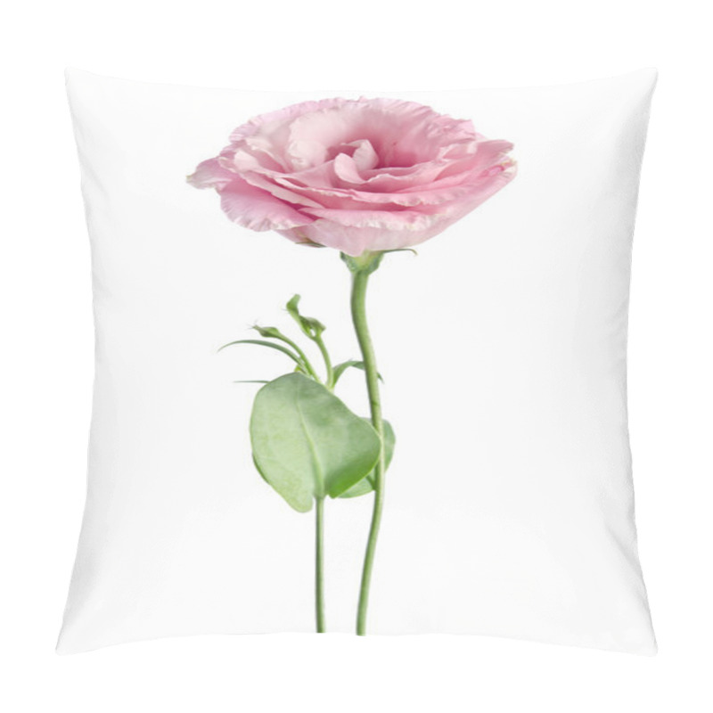 Personality  beautiful eustoma flower pillow covers