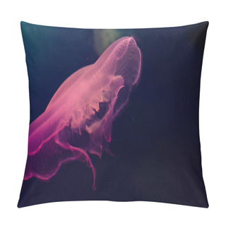 Personality  Aurelia Aurita. Pink Moon Jellyfish. (background) Pillow Covers