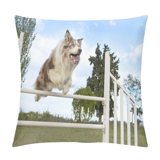 Personality  Jumping Border Collie Pillow Covers