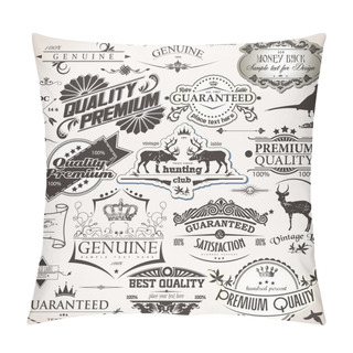 Personality  Set Of Vintage Design Elements Pillow Covers