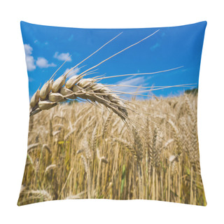 Personality  Barley In A Field Pillow Covers