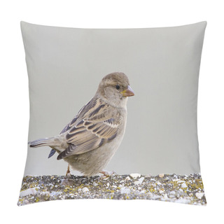 Personality  Sparrow, Passer Domesticus. Pillow Covers