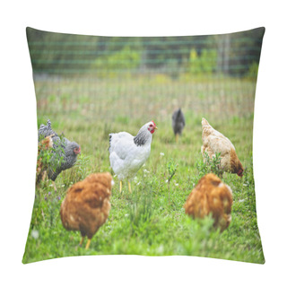 Personality  Free Range Chickens On Farm Pillow Covers