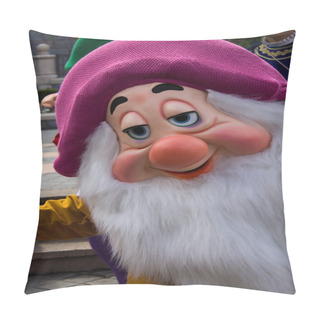 Personality  Character During Disneyland Paris Parade And Show. Pillow Covers