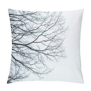 Personality  Dry Tree Branches With Snow Against Clear Blue Sky Pillow Covers