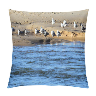 Personality  Seagulls Foraging Along The Coastal Sand  Pillow Covers
