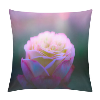 Personality  Pink Roses With Natural Background In The Park. Pillow Covers