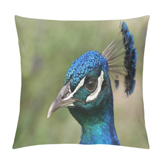 Personality  Scenic View Of Peacock Bird At Wild Life  Pillow Covers