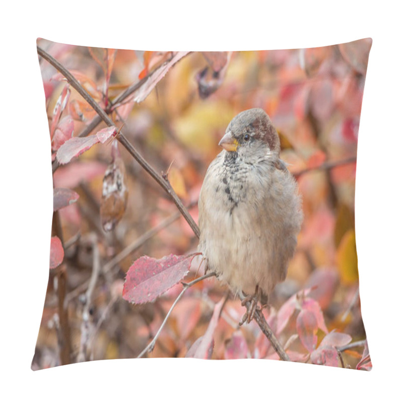 Personality  Fun Gray And Brown Sparrow Sits On A Branch In The Park In Autumn And Looks At The Camera On A Blurred Yellow Background Pillow Covers