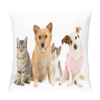 Personality  Group Of Cats And Dogs Pillow Covers