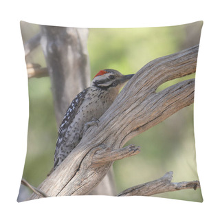 Personality  Ladder-backed Woodpecker (male) (dryobates Scalaris) Pillow Covers