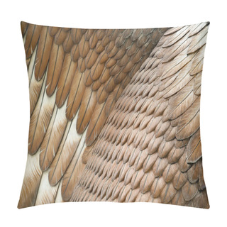 Personality  Eagle Feathers Pillow Covers