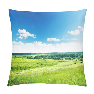 Personality  Field Of Summer Grass And Flowers Pillow Covers