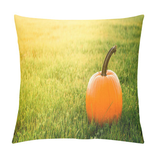 Personality  One Big Orange Pumpkin On The Green Grass Field Background.  Autumn Season. Thanksgiving Day. Farm Harvest. Copy Space. Banner. Landscape. Beautiful Panoramic Card. Nature Decoration. Vegetables. Pillow Covers