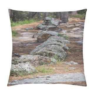 Personality  Petrified Wood Pillow Covers