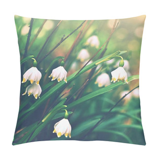Personality  Spring Snowflakes Flowers. ( Leucojum Vernum Carpaticum) Beautiful Blooming Flowers In Forest With Natural Colored Background. Pillow Covers