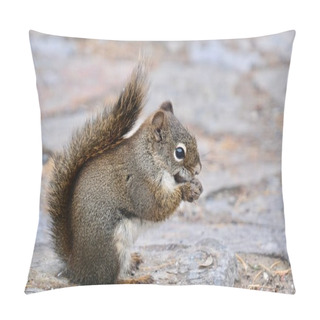 Personality  Squirrel In Winter Near Lake Louise.   Pillow Covers