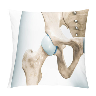 Personality  Hip Joint Close-up 3D Rendering Illustration Isolated On White With Copy Space. Human Skeleton And Pelvis Anatomy, Medical Diagram, Osteology, Skeletal System, Science, Biology Concepts. Pillow Covers