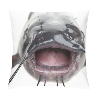 Personality  Mouth Catfish Pillow Covers