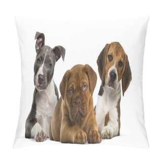 Personality  Group Of Puppies Lying Against White Background Pillow Covers