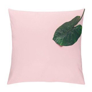 Personality  Elevated View Of Green Tropical Leaf On Pink, Minimalistic Concept  Pillow Covers