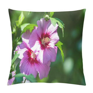Personality  Pink Flowers Of Hibiscus Moscheutos Plant Close-up. Hibiscus Moscheutos, Swamp Hibiscus, Rose Mallow Hibiscus Pillow Covers