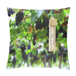 Personality  Temperature Grape Garden Control By Thermometer At Chiang Mai Th Pillow Covers