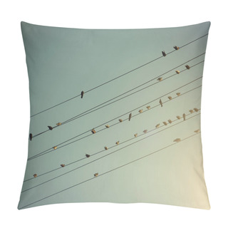 Personality   Birds On Wires Over Blue Sky  Pillow Covers