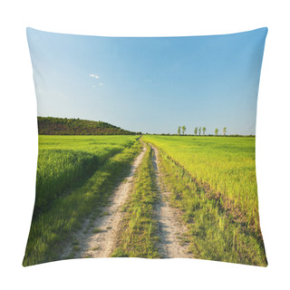 Personality  Rural Road At Sunset Pillow Covers