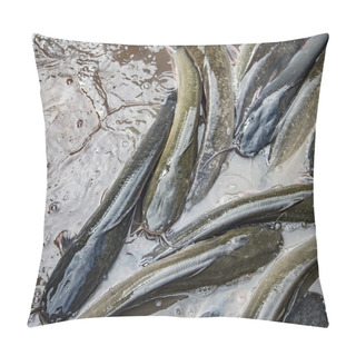 Personality  Catfish In The Water Pillow Covers
