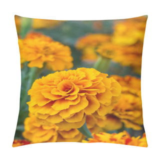Personality  Yellow Marigold Flowers Close Up Pillow Covers